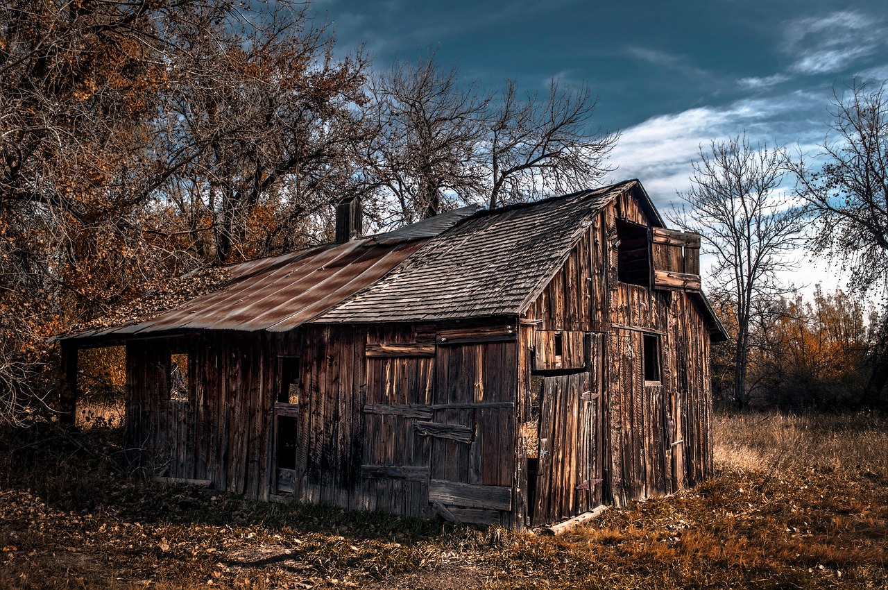 Choosing the Right Livestock for Your Family Homestead