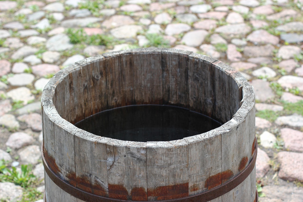 Rainwater Harvesting on a Budget: From Gutters to Garden